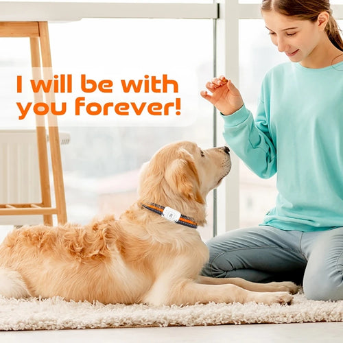 GPS Pet Tracker with Colorful LED